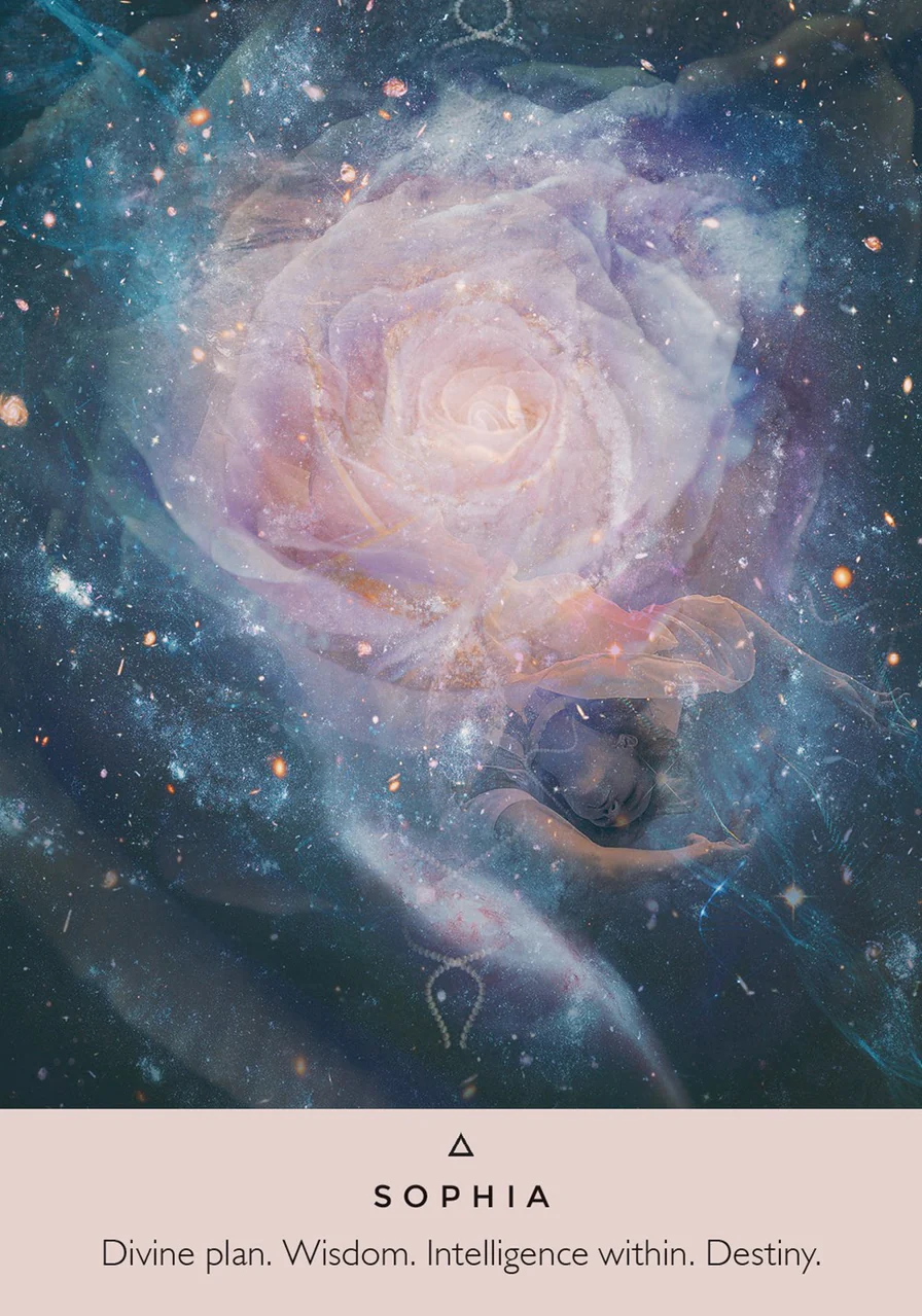 The Rose Oracle Cards